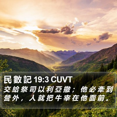 民 數 記 19:3 CUVT Bible Verse Image