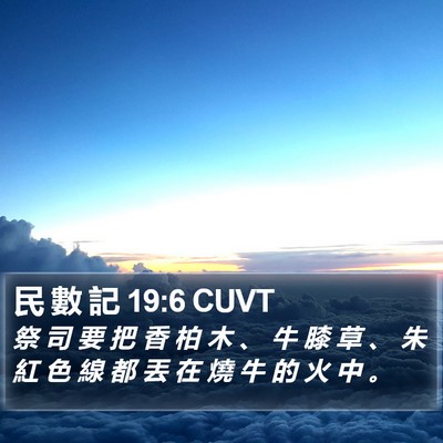 民 數 記 19:6 CUVT Bible Verse Image