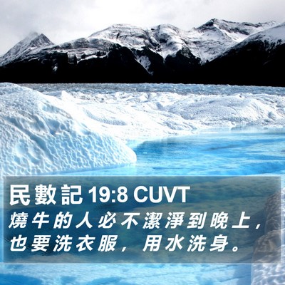 民 數 記 19:8 CUVT Bible Verse Image
