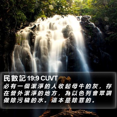 民 數 記 19:9 CUVT Bible Verse Image