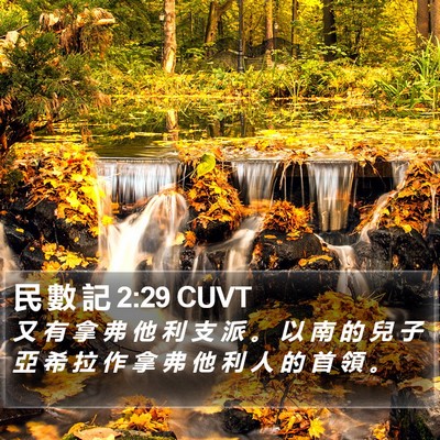 民 數 記 2:29 CUVT Bible Verse Image