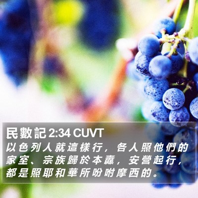 民 數 記 2:34 CUVT Bible Verse Image