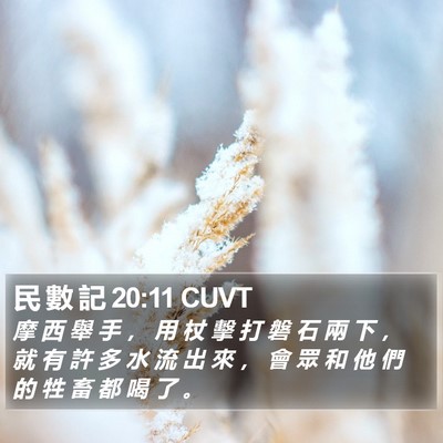民 數 記 20:11 CUVT Bible Verse Image