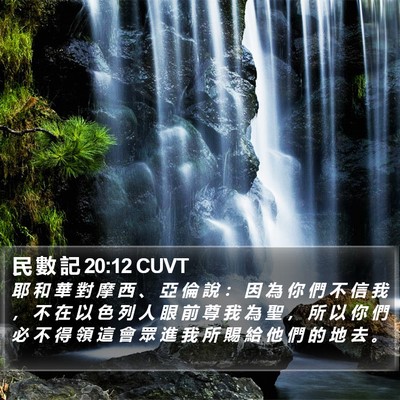 民 數 記 20:12 CUVT Bible Verse Image