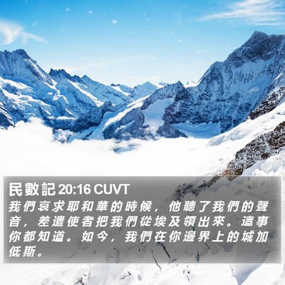 民 數 記 20:16 CUVT Bible Verse Image