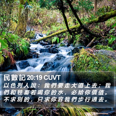 民 數 記 20:19 CUVT Bible Verse Image