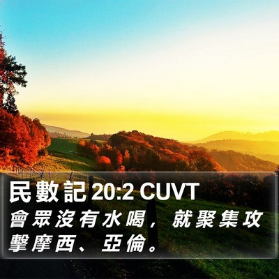民 數 記 20:2 CUVT Bible Verse Image