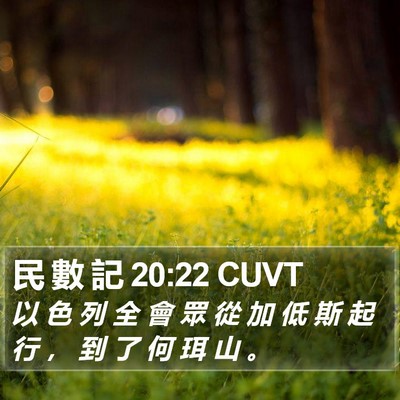 民 數 記 20:22 CUVT Bible Verse Image