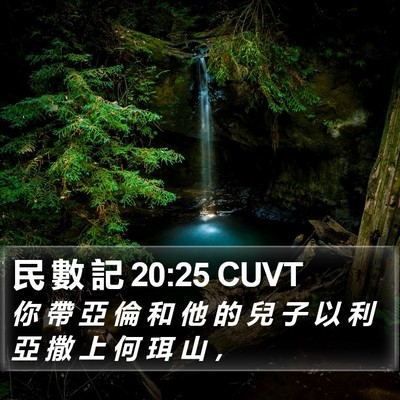 民 數 記 20:25 CUVT Bible Verse Image