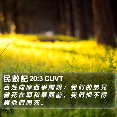民 數 記 20:3 CUVT Bible Verse Image