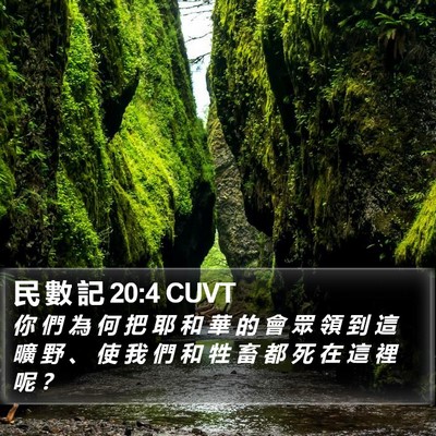 民 數 記 20:4 CUVT Bible Verse Image
