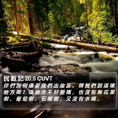民 數 記 20:5 CUVT Bible Verse Image