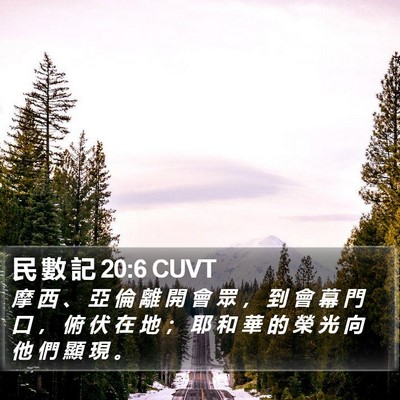 民 數 記 20:6 CUVT Bible Verse Image