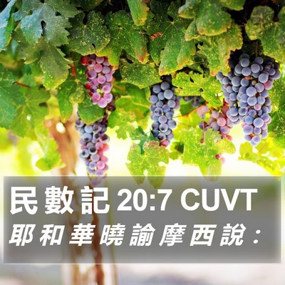 民 數 記 20:7 CUVT Bible Verse Image
