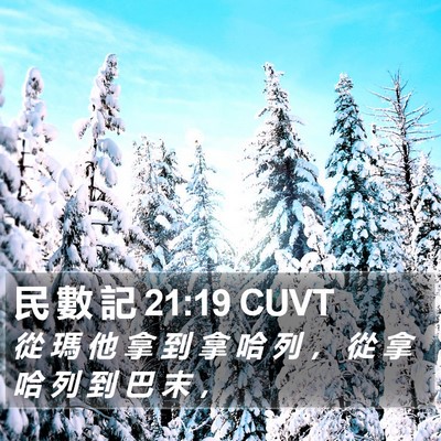 民 數 記 21:19 CUVT Bible Verse Image