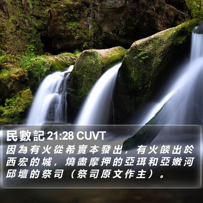 民 數 記 21:28 CUVT Bible Verse Image