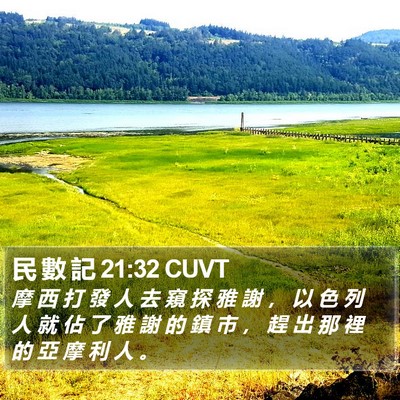 民 數 記 21:32 CUVT Bible Verse Image