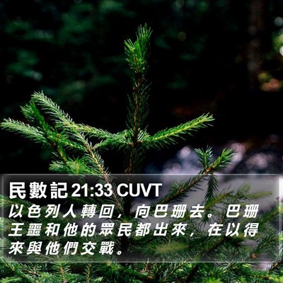 民 數 記 21:33 CUVT Bible Verse Image