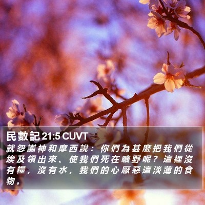 民 數 記 21:5 CUVT Bible Verse Image
