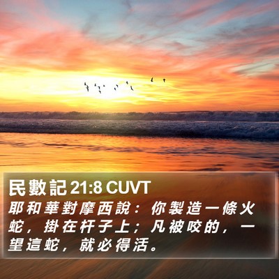 民 數 記 21:8 CUVT Bible Verse Image