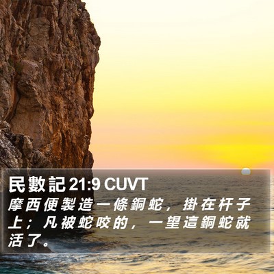 民 數 記 21:9 CUVT Bible Verse Image