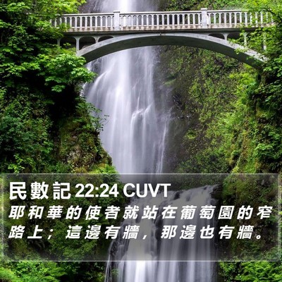 民 數 記 22:24 CUVT Bible Verse Image