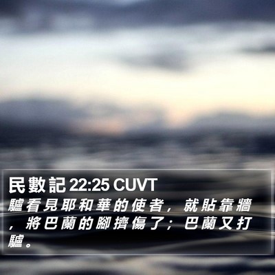 民 數 記 22:25 CUVT Bible Verse Image