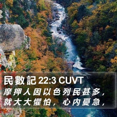 民 數 記 22:3 CUVT Bible Verse Image