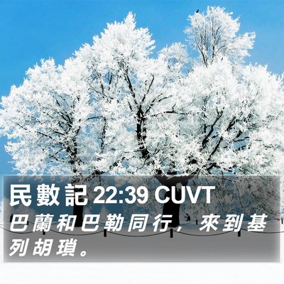 民 數 記 22:39 CUVT Bible Verse Image