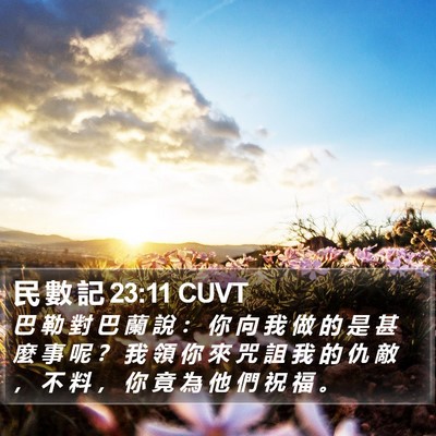 民 數 記 23:11 CUVT Bible Verse Image