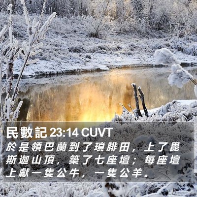 民 數 記 23:14 CUVT Bible Verse Image