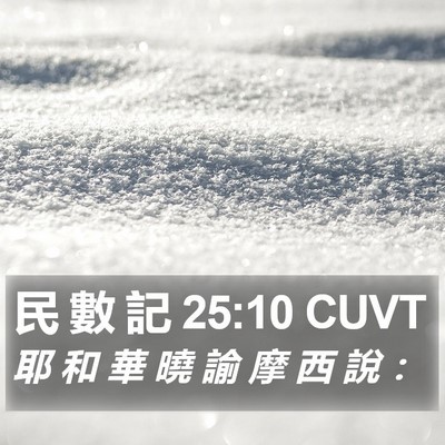 民 數 記 25:10 CUVT Bible Verse Image