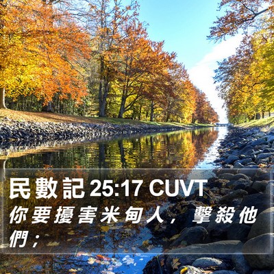 民 數 記 25:17 CUVT Bible Verse Image