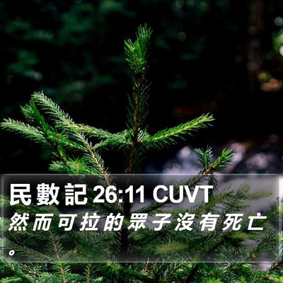 民 數 記 26:11 CUVT Bible Verse Image