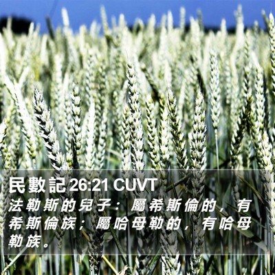 民 數 記 26:21 CUVT Bible Verse Image