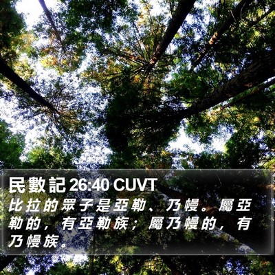 民 數 記 26:40 CUVT Bible Verse Image