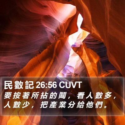 民 數 記 26:56 CUVT Bible Verse Image