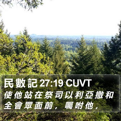 民 數 記 27:19 CUVT Bible Verse Image