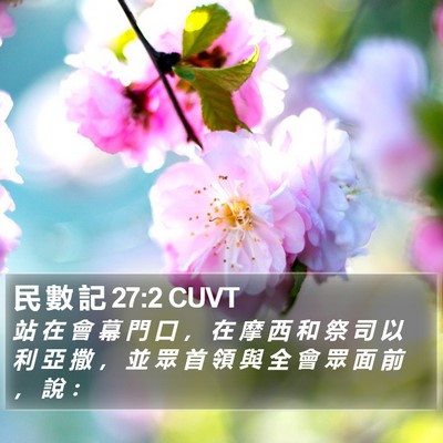 民 數 記 27:2 CUVT Bible Verse Image