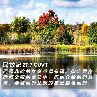 民 數 記 27:7 CUVT Bible Verse Image