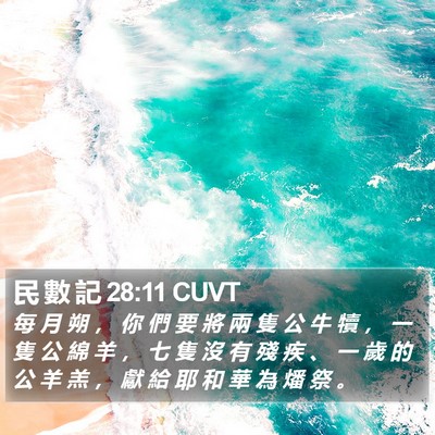民 數 記 28:11 CUVT Bible Verse Image