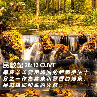 民 數 記 28:13 CUVT Bible Verse Image
