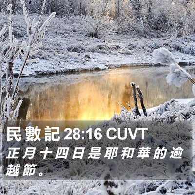 民 數 記 28:16 CUVT Bible Verse Image