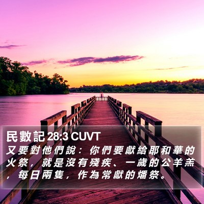 民 數 記 28:3 CUVT Bible Verse Image