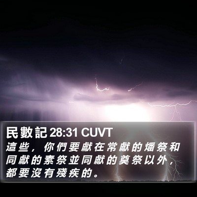 民 數 記 28:31 CUVT Bible Verse Image