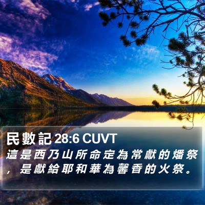 民 數 記 28:6 CUVT Bible Verse Image