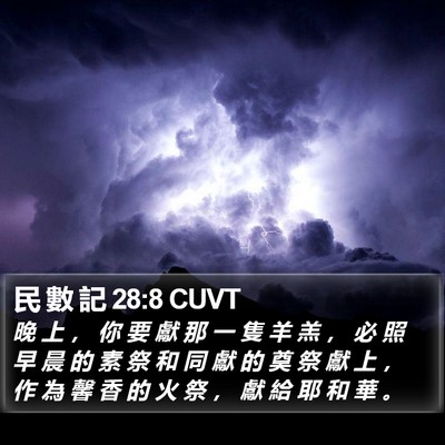 民 數 記 28:8 CUVT Bible Verse Image