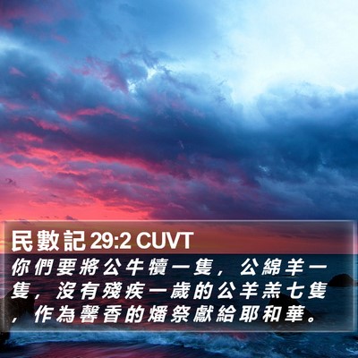民 數 記 29:2 CUVT Bible Verse Image