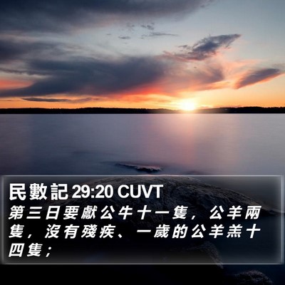 民 數 記 29:20 CUVT Bible Verse Image