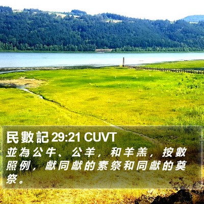 民 數 記 29:21 CUVT Bible Verse Image